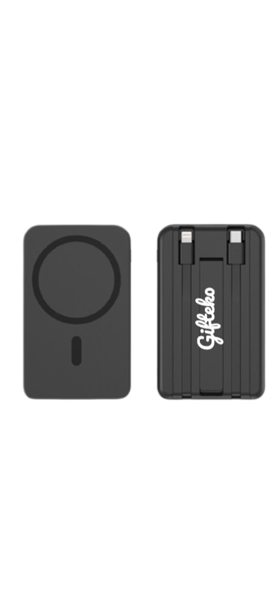 Compact Urban Travel Tech Pouch